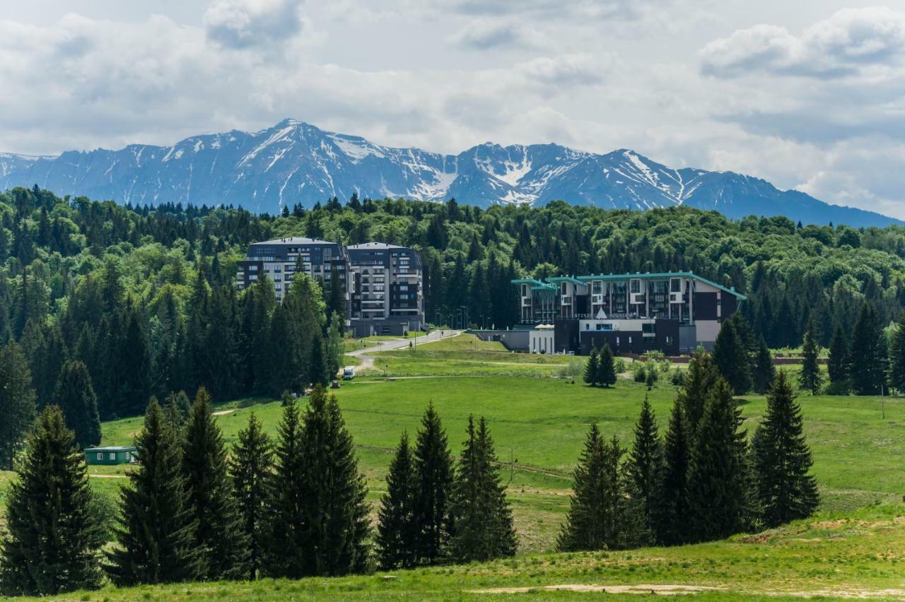Timber View Apartment Silver Mountain Poiana Brašov Exteriér fotografie